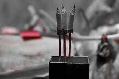 《潜水员戴夫》将被改编为漫画 8月12日开始连载